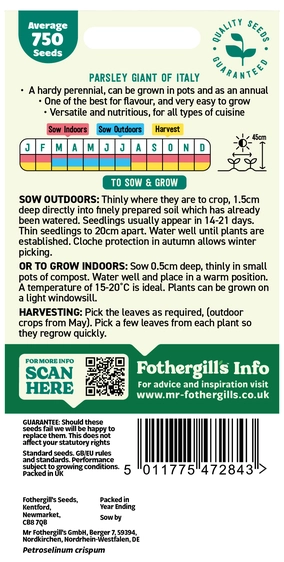 Parsley Giant Of Italy - image 2