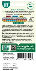 Parsley Giant Of Italy - image 2