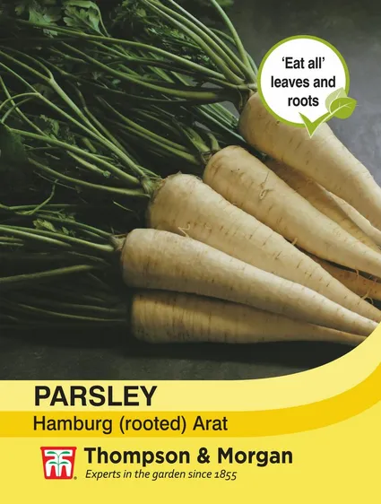 Parsley Hamburg Arat - image 1