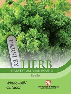 Parsley Lisette - image 1