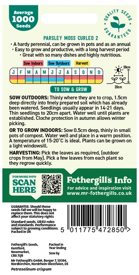 Parsley Moss Curled 2 - image 2