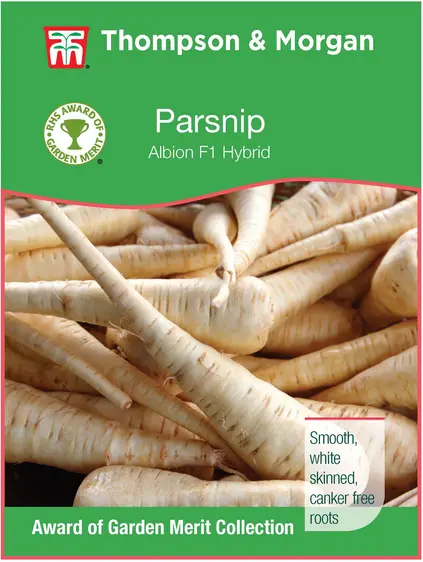 Parsnip Albion - image 1