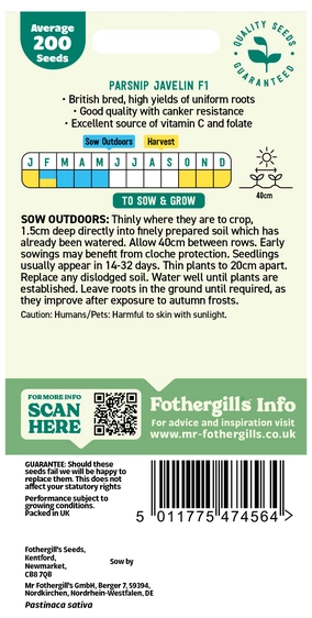 Parsnip Javelin F1 Seeds - image 2