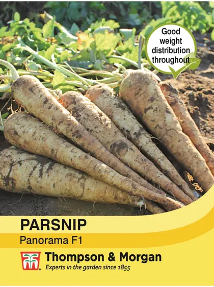 Parsnip Panorama F1 Hybrid - image 1