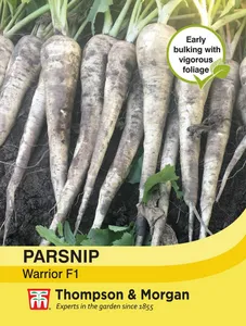 Parsnip Warrior F1 - image 1