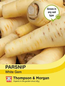 Parsnip White Gem - image 1