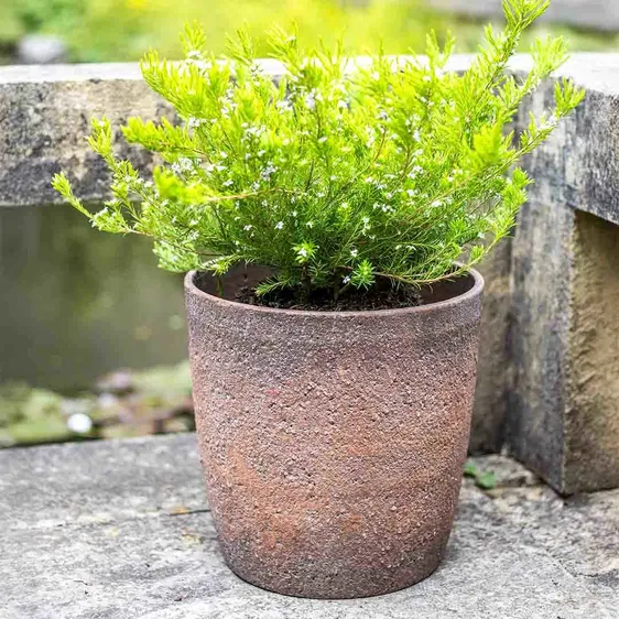 Patina Egg Pot Ø23cm - image 1