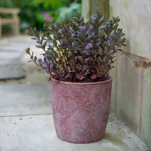 Patina Egg Pot Ø23cm - image 5