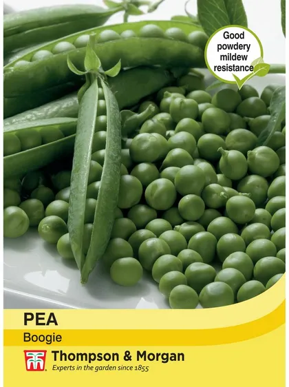 Pea Boogie - image 1