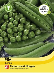 Pea Jumbo - image 1