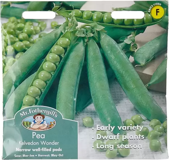 Pea Kelvedon Wonder - image 1