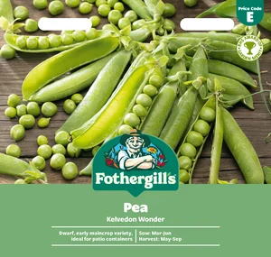 Pea Kelvedon Wonder