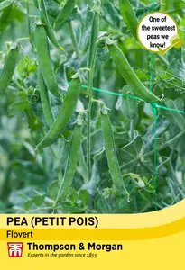 Pea (Petit Pois) Flovert Seeds - image 1