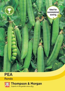 Pea Rondo - image 1