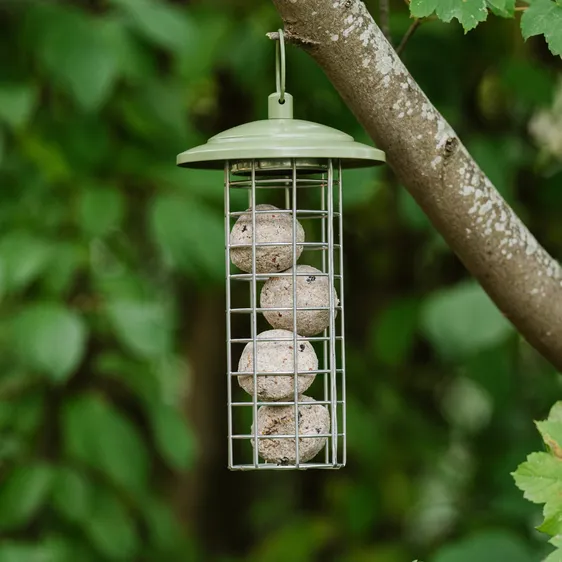 Peckish Canto Energy Ball Feeder - image 2