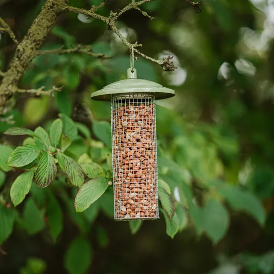 Peckish Canto Peanut Feeder - image 2