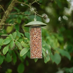 Peckish Canto Peanut Feeder - image 2