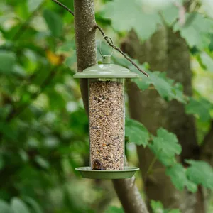 Peckish Canto Seed Feeder - image 2