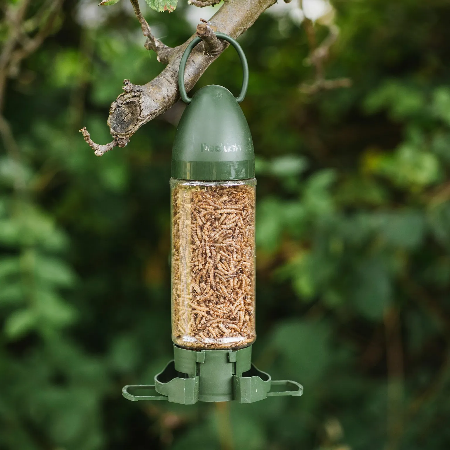 Peckish Mealworm Filled Feeder - Cowell's Garden Centre | Woolsington