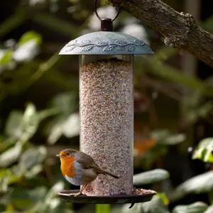 Peckish Secret Garden Seed Feeder - image 2