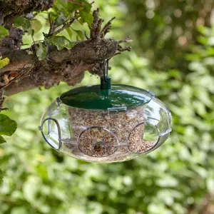 Peckish Small Bird Seed Feeder - image 2