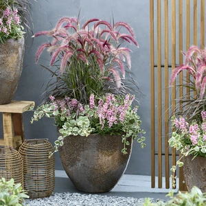 Image Credit: Plantipp BV®