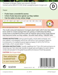 Pepper (Chilli) Aroma Seeds - image 2