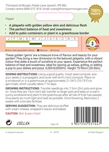 Pepper (Chilli) Golden Jalapeno - image 2
