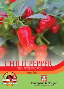 Pepper (Chilli) Hot Pot Seeds - image 1
