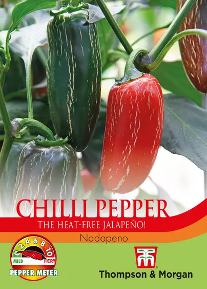 Pepper (Chilli) Nadapeno Seeds - image 1