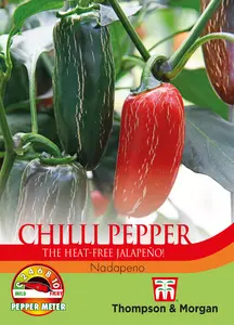 Pepper (Chilli) Nadapeno Seeds - image 1