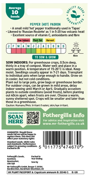 Pepper (Chilli) Padron - image 2