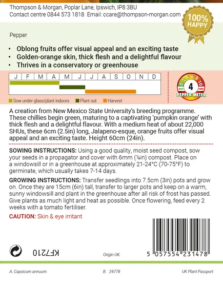 Pepper (Chilli) Pumpkin Spice Seeds - image 2