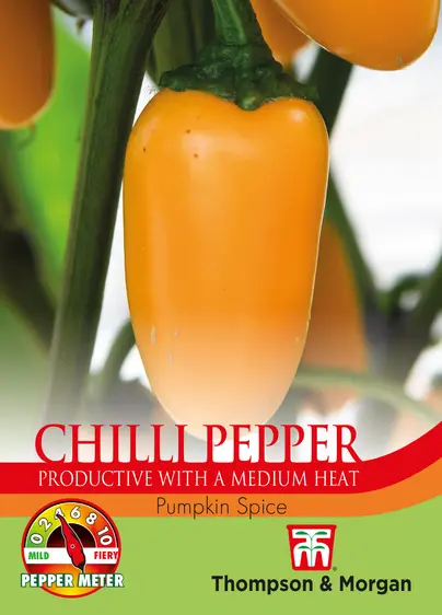 Pepper (Chilli) Pumpkin Spice Seeds - image 1