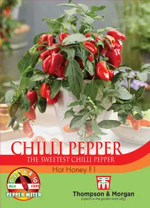 Pepper (Chilli Sweet) Hot Honey F1 Seeds - image 1
