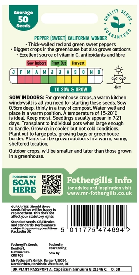 Pepper (Sweet) California Wonder - image 2