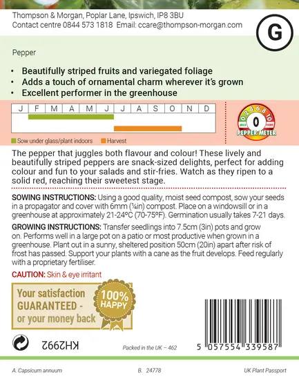 Pepper (Sweet) Jester F1 Seeds - image 2