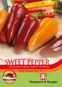 Pepper (Sweet) Pillar Sweet Trio F1