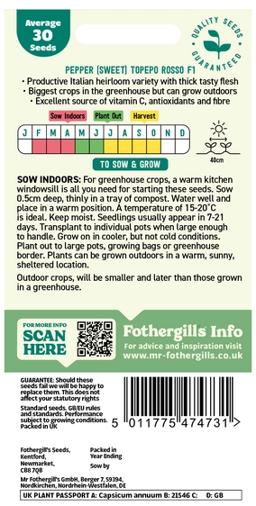 Pepper (Sweet) Topepo Rosso F1 Seeds - image 2