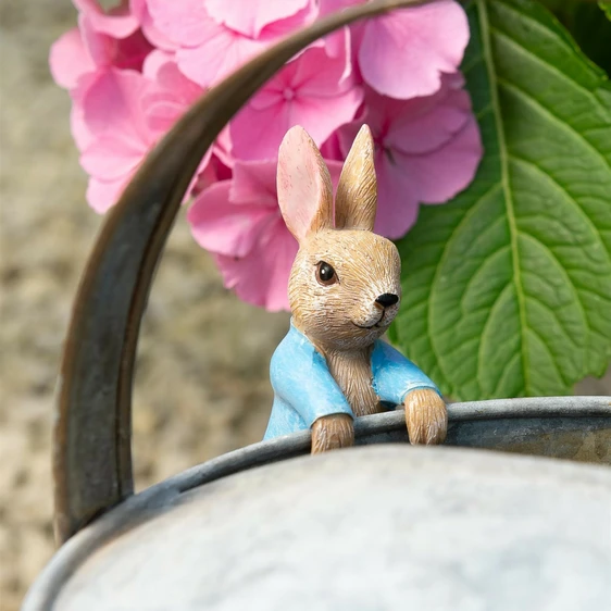 Peter Rabbit Hanging Pot Buddy - image 2