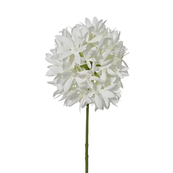 Petrea Artificial Stem - White