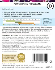 Petunia Mistral F1 Picotee Mix Seeds - image 2