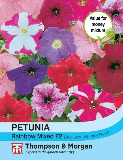 Petunia Rainbow Mixed F2 - image 1