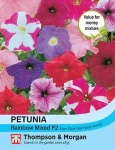 Petunia Rainbow Mixed F2 - image 2