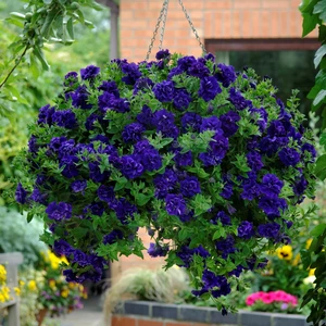 Picture - Kerley & Co