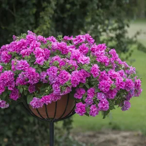 Picture - Kerley & Co