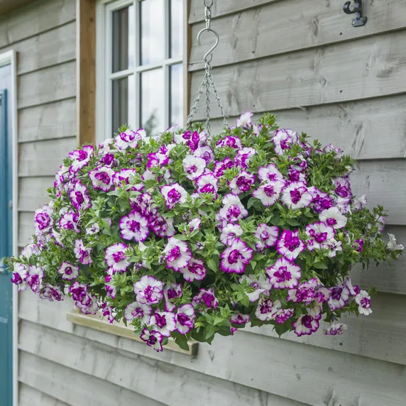 Picture - Kerley & Co