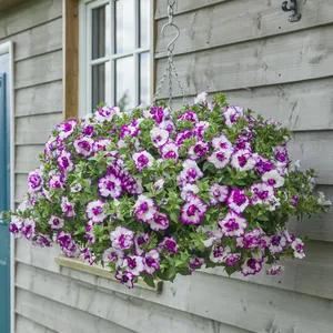 Picture - Kerley & Co