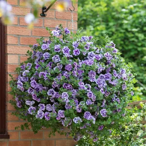 Picture - Kerley & Co