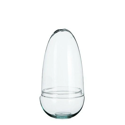 Phil Terrarium Glass Cover Ø13cm - image 1